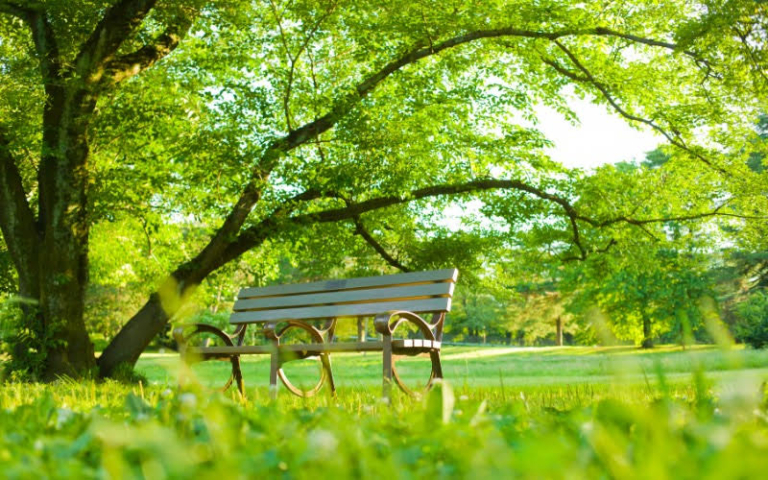 5 Remarkable Parks In The City Of Lagos