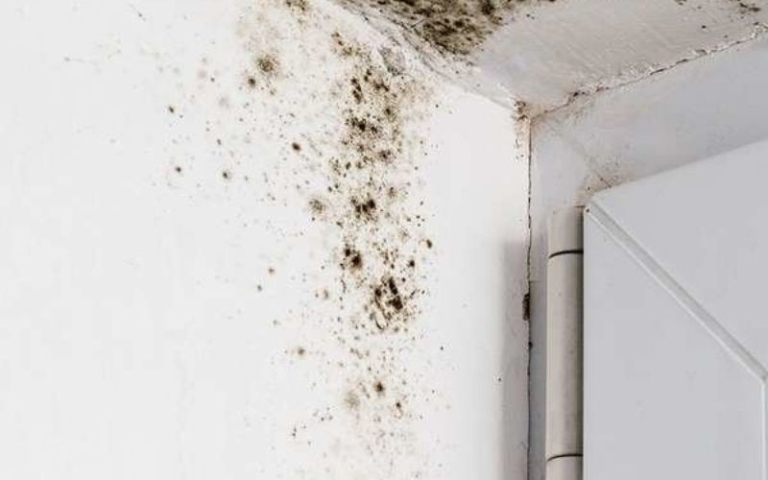 Home inspections in Lagos