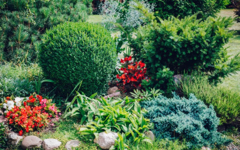 The Best Tips To Help You Take Care Of Your Garden In The Home