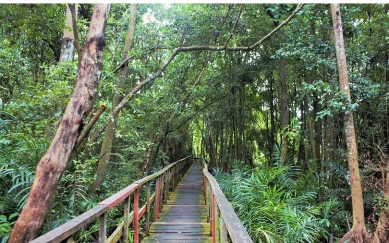 4 Fun Things To Do In Lagos