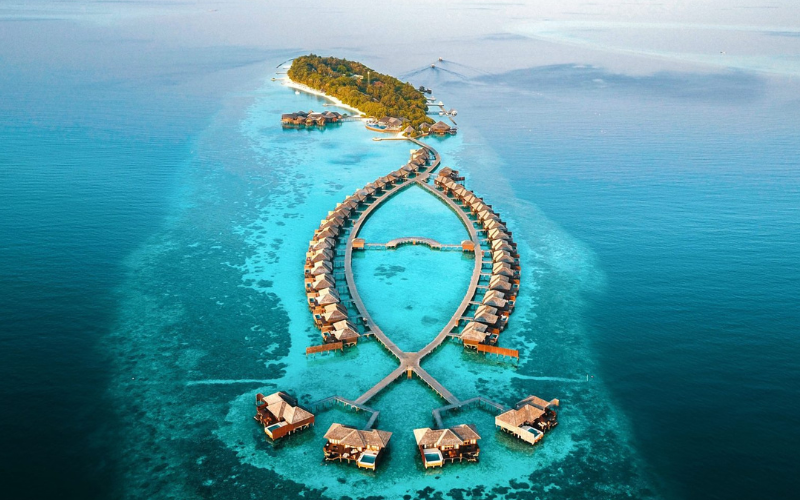 lilybeachmaldives.com maldives